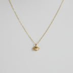 Collar Concha con Perla | Oro Chino Dorado